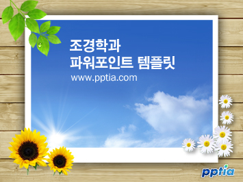 하늘과 꽃 PPT 템플릿 미리보기