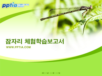 잠자리 체험학습보고서 PPT 템플릿 미리보기