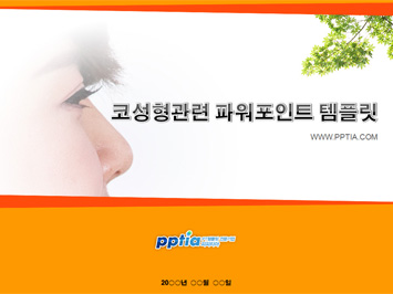 코성형 PPT 템플릿 미리보기