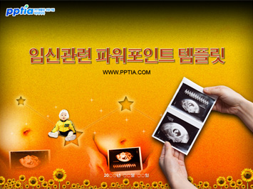 임신 PPT 템플릿 미리보기