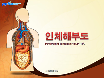 인체해부도 PPT 템플릿 미리보기