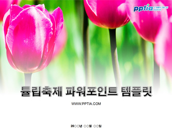 튤립축제 PPT 템플릿 미리보기