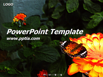 꽃과 나비 PPT 템플릿 미리보기
