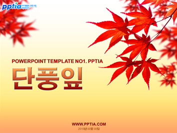 단풍잎 PPT 템플릿 미리보기