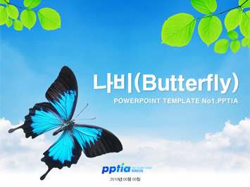 나비(Butterfly) PPT 템플릿 미리보기