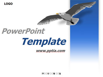 독수리 B PPT 템플릿 미리보기