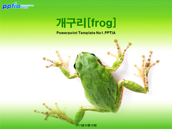 개구리[frog] PPT 템플릿 미리보기
