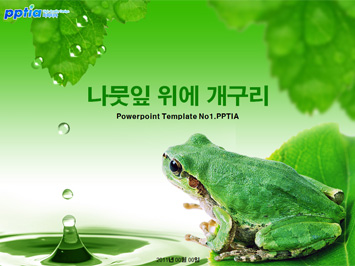 나뭇잎 위에 개구리 PPT 템플릿 미리보기