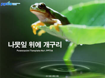 나뭇잎 위에 개구리 PPT 템플릿 미리보기