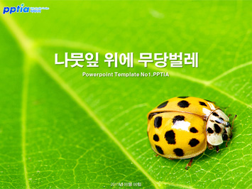 나뭇잎 위에 무당벌레 PPT 템플릿 미리보기