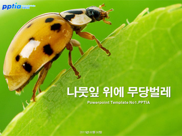나뭇잎 위에 무당벌레 PPT 템플릿 미리보기