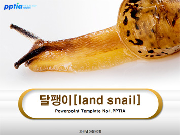 달팽이[land snail] PPT 템플릿 미리보기