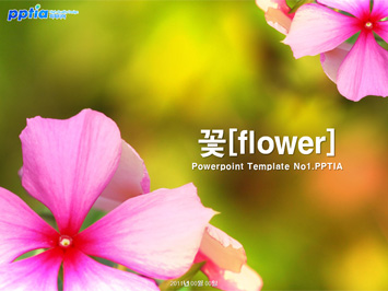 꽃[flower] PPT 템플릿 미리보기