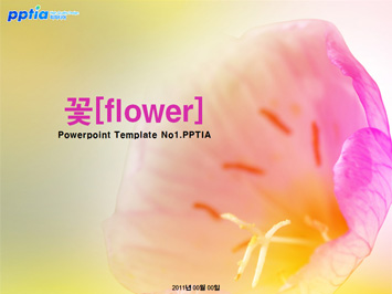 꽃[flower] PPT 템플릿 미리보기