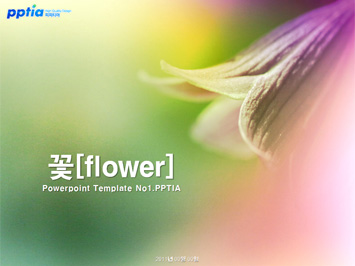 꽃[flower] PPT 템플릿 미리보기