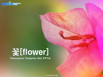 꽃[flower] PPT 템플릿 미리보기