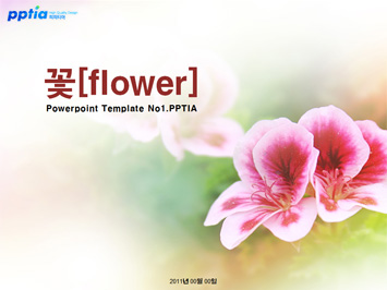 꽃[flower] PPT 템플릿 미리보기