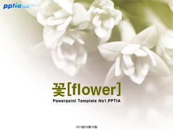 꽃[flower] PPT 템플릿 미리보기