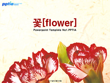 꽃[flower] PPT 템플릿 미리보기