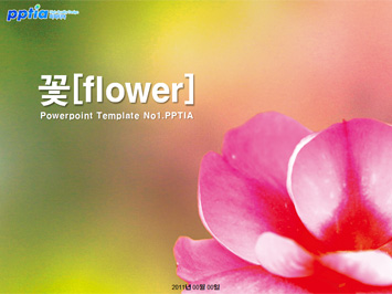 꽃[flower] PPT 템플릿 미리보기