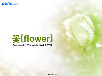 꽃[flower] PPT 템플릿 미리보기