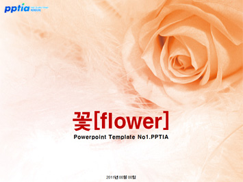 꽃[flower] PPT 템플릿 미리보기