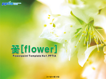 꽃[flower] PPT 템플릿 미리보기