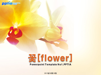 꽃[flower] PPT 템플릿 미리보기