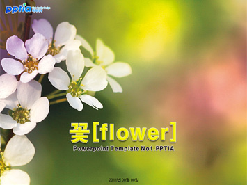 꽃[flower] PPT 템플릿 미리보기