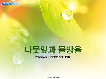 나뭇잎과 물방울 PPT 템플릿 미리보기