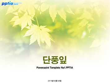 단풍잎 PPT 템플릿 미리보기