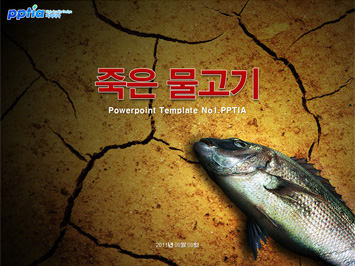죽은 물고기 PPT 템플릿 미리보기