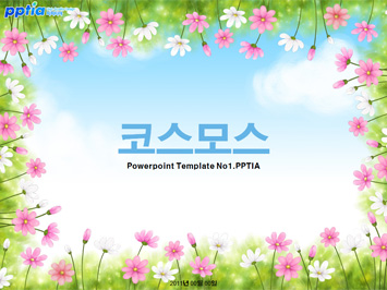 코스모스 PPT 템플릿 미리보기