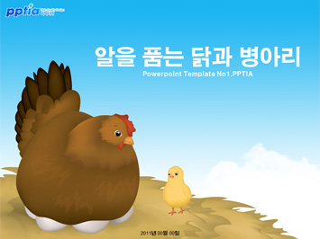 알을 품는 닭과 병아리 PPT 템플릿 미리보기