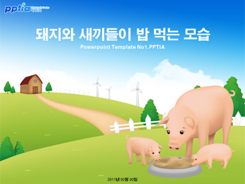돼지와 새끼들이 밥먹는 모습 PPT 템플릿 미리보기