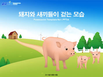 돼지와 새끼들이 걷는 모습 PPT 템플릿 미리보기