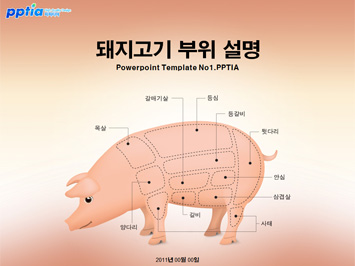 돼지고기 부위 설명 PPT 템플릿 미리보기
