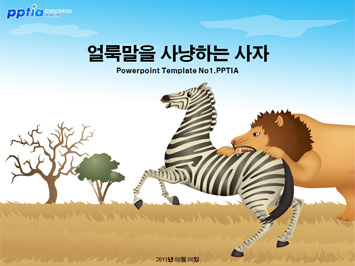 얼룩말을 사냥하는 사자 PPT 템플릿 미리보기