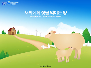 새끼에게 젖을 먹이는 양 PPT 템플릿 미리보기