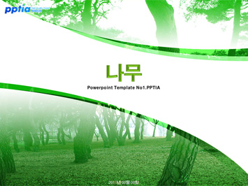 나무 PPT 템플릿 미리보기