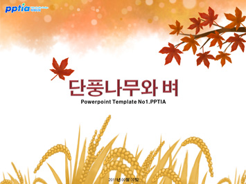 단풍나무와 벼 PPT 템플릿 미리보기