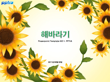 해바라기 PPT 템플릿 미리보기