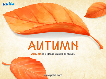 단풍잎 PPT 템플릿 미리보기