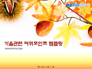 가을 PPT 템플릿 미리보기