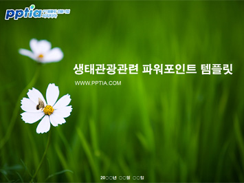 생태관광 PPT 템플릿 미리보기