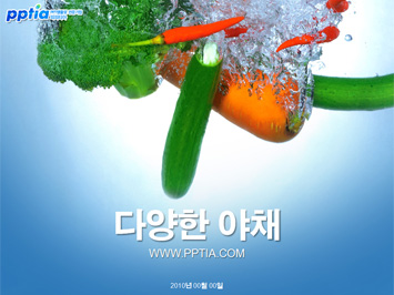 다양한 야채 PPT 템플릿 미리보기