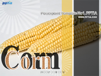 옥수수(Corn) PPT 템플릿 미리보기