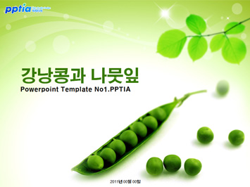 강낭콩과 나뭇잎 PPT 템플릿 미리보기