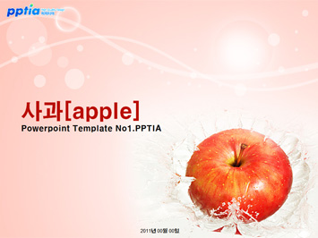 사과[apple] PPT 템플릿 미리보기