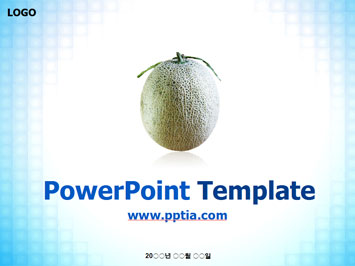 멜론 B PPT 템플릿 미리보기